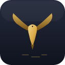 TinyFalcon